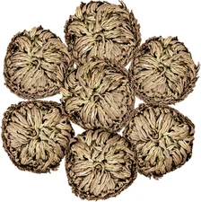 7 Pack Rose of Jericho Dried Plants - Rosa de Jerico Original, Dried Fern Like S