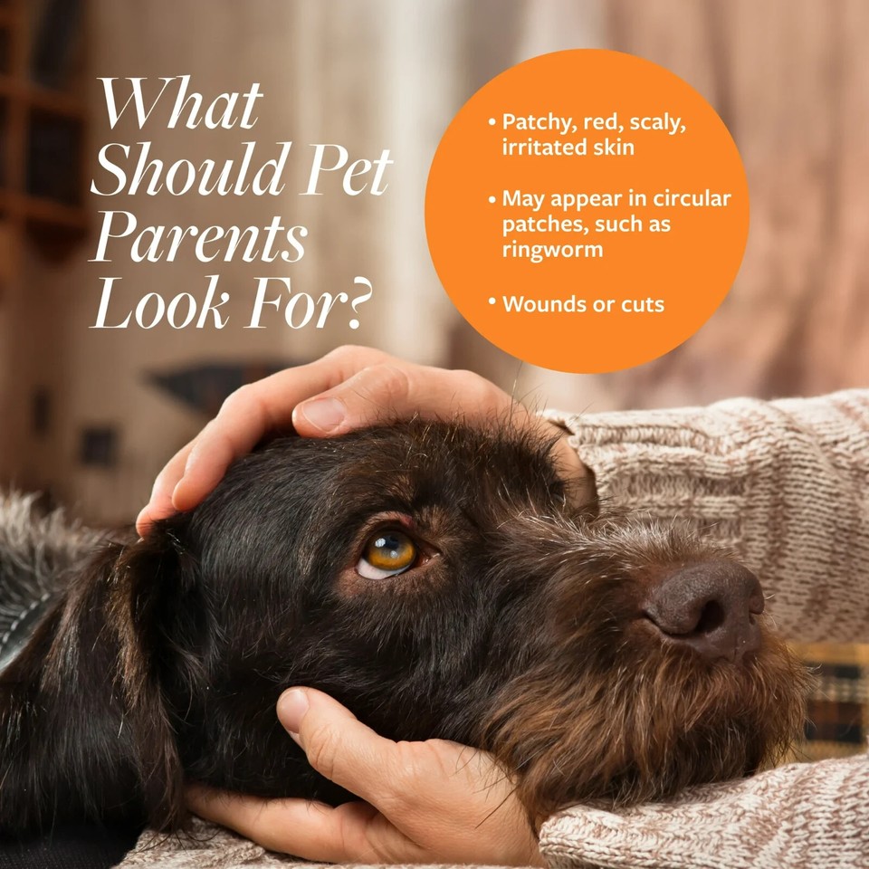 Veterinary Formula Clinical Care Antiseptic and Antifungal Shampoo for