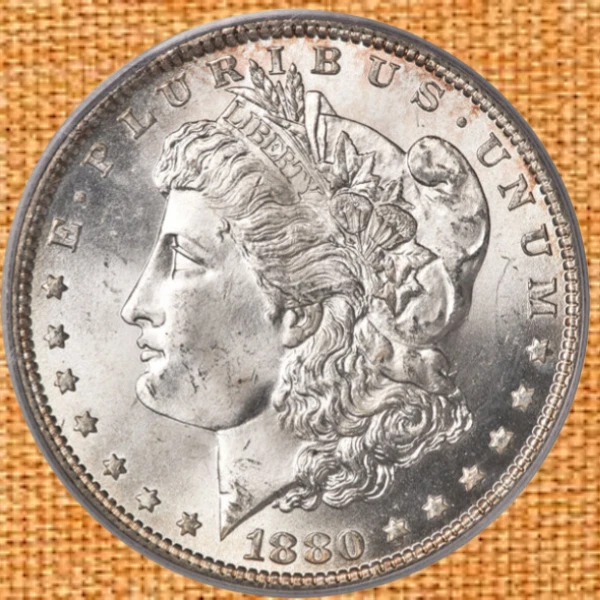 New Orleans 1880 Year Morgan US Dollars (1878-1921) for sale | eBay