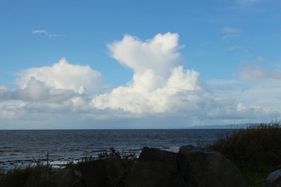 Foto 12x8 Felsen am Ainslie Shore Girvan c2017
