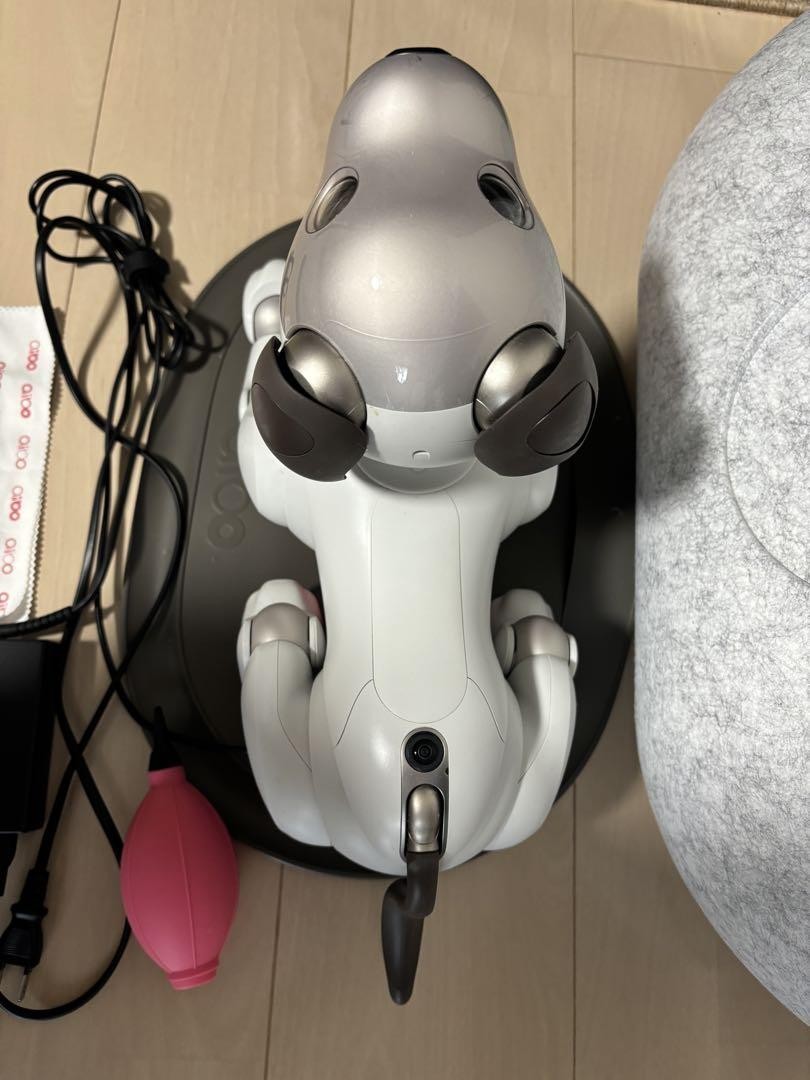SONY Aibo AIBO ERS-1000 Robot Dog Gray White Japan JP s1177M | eBay