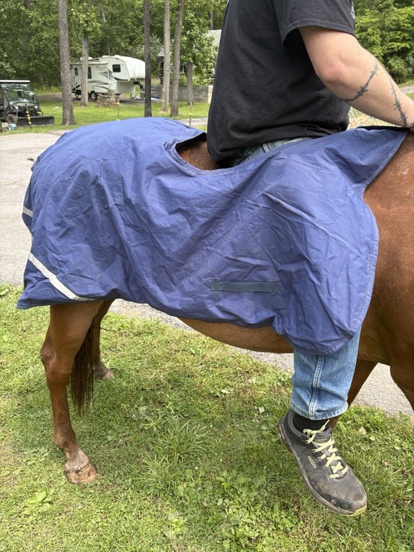 Masta Quarter Sheet Show Blanket Cover ￼