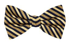 Men's Silk Pre -Tied Designer Bow Tie for Formals Weddings  Casual Dress