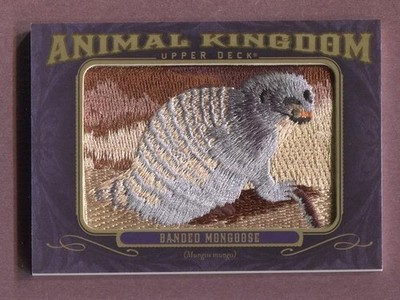 2012 GOODWIN CHAMPIONS ANIMAL KINGDOM - BANDED MONGOOSE #AK-143