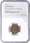1903 Indian Cent NGC Fine Details
