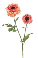 artplants KüNstliche Blume Ranunkel Lolyn, Pfirsich-Rosa, 65Cm