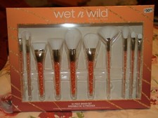 JUEGO DE 10 CEPILLOS Wet n Wild Holiday Naranja Mango Cara Ojos Rubor Ventilador Shader — LE NUEVO