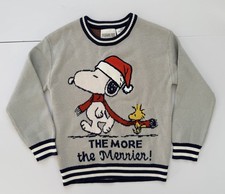 Peanuts Snoopy  Woodstock Holiday Sweater Youth Size XS 5/