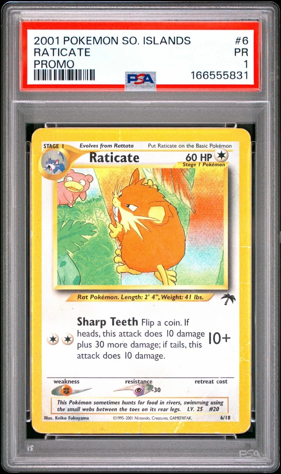 Raticate - Southern Islands #6 Price & Value ($34.06) | PokeScope
