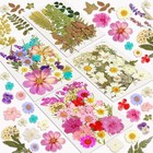 Dried Flowers, Resiners 100Pcs Flowers for Crafts Real Blossom 100pcs 