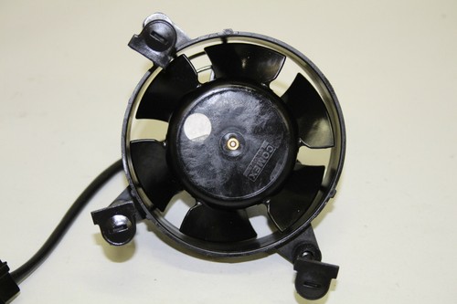 Lüfter Kühlerlüfter Kühler Ventilator Aprilia RS-4 RS4 125 TW (Lager 8-19)