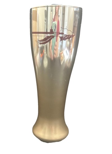 Superposición de vidrio Pilsner Glass Florida State Seminoles 16 oz. FSU NOLES - Imagen 1 de 12