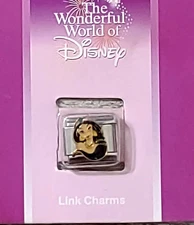 Disney's Aladdin Jasmine Link Charm