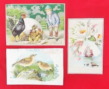 VINTAGE 1898 JERSEY COFFEE ADVERTISEMENT CARDS - VARIOUS THEMES (3)