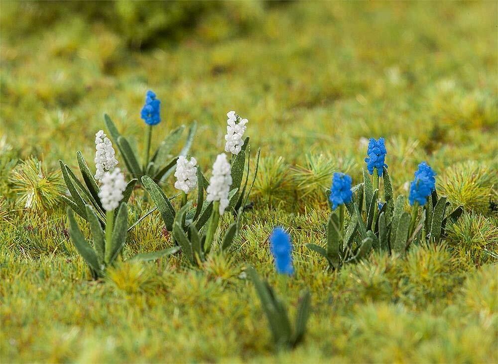 Faller 181265 Grape Hyacinths 32/Scenery and Accessories 4104090812652 ...