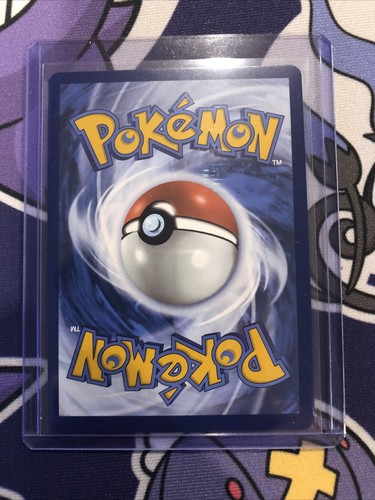 Pokemon Wally's Compassion Special Illustration Rare Full Art Holo 186/132 TL111 - Afbeelding 4 van 6