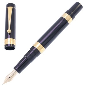 Fountain Pen Onoto | eBay