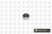 Querlenkerlager BGA BU2371 FüR Ford Fiesta 3 GFJ Escort 5 AAL ABL 6 GAL Turnier