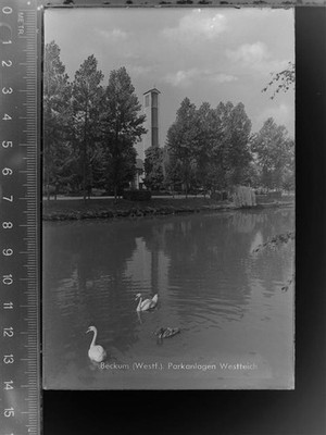 30042874 - 4720 Beckum Parkanlagen Westteich