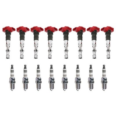 Eldor 8 Ignition Coils NGK Iridium IX Spark Plugs Kit for Audi Porsche VW V8