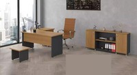 BüRoeinrichtung Arbeitszimmer Set BüRomöBel Chef Schreibtisch Schrank