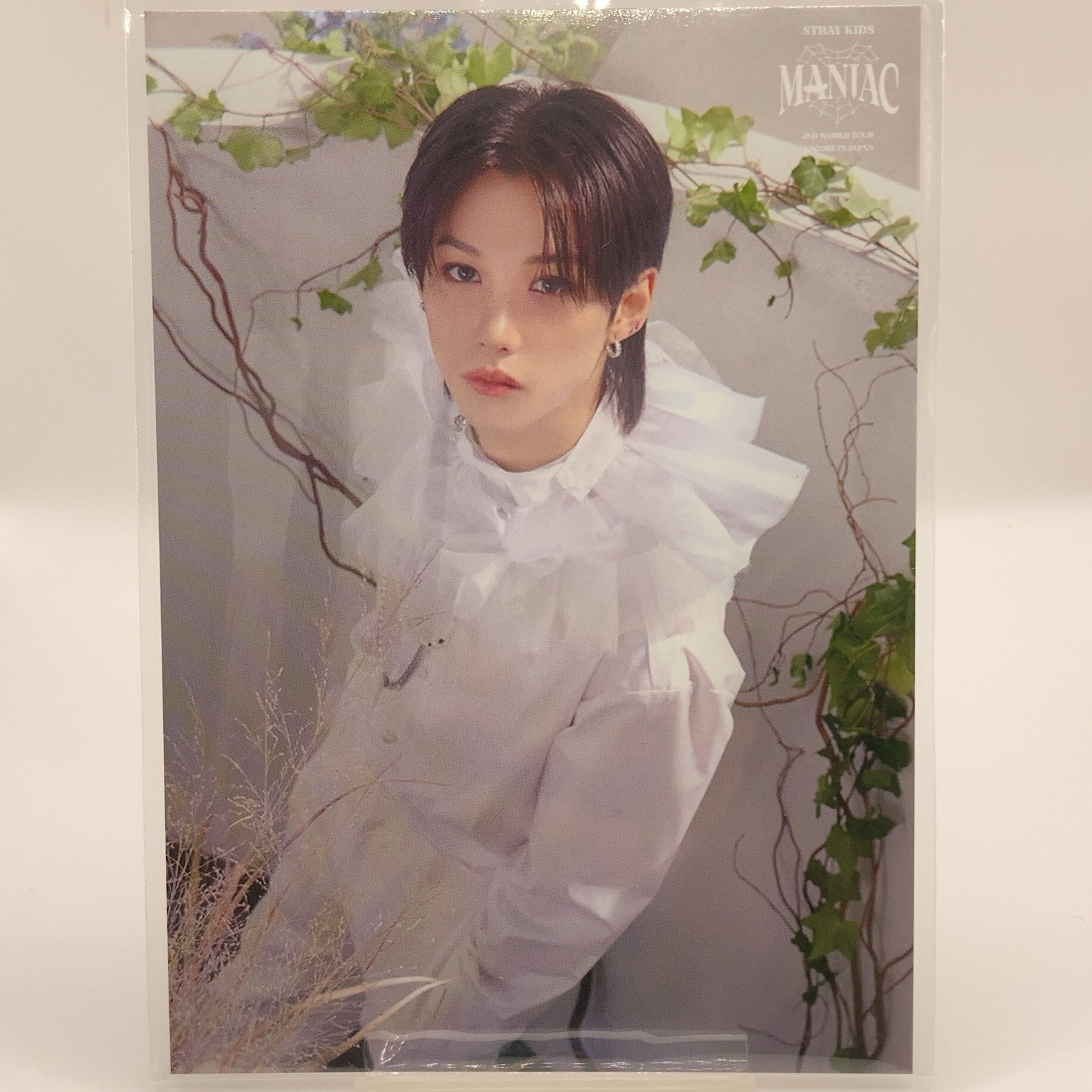 Felix Stray Kids Post Card【MANIAC】2nd World Tour Encore In Japan