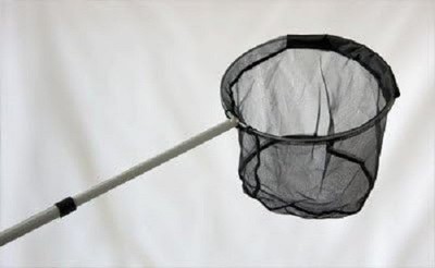 Kleines Teichnetz 30cm Durchmesser mit Teleskopstiel, Wassergarten Koi Fisch Teiche