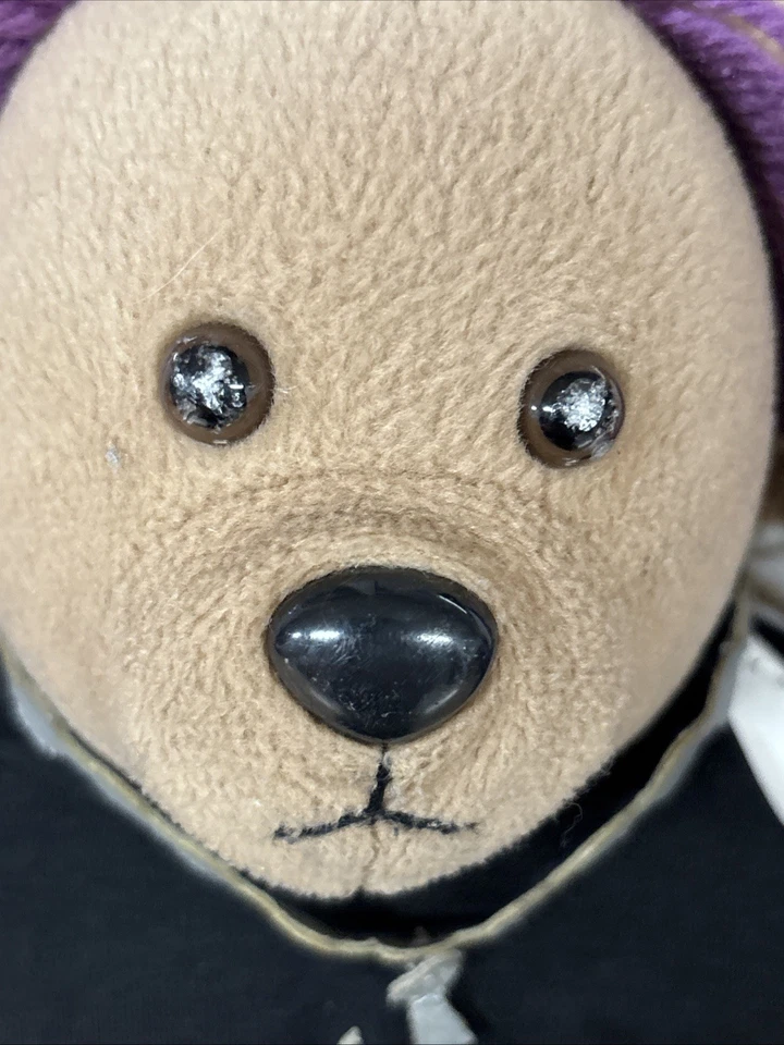 WWE WWF Jeff Hardy Peluche Oso 18" Lucha Libre Peluche 2006 RARO Foto 4 de 4