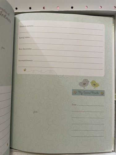 C.R Gibson Baby Memory Book Record Ricordi e pietre miliari dei primi 5 anni 24 - Foto 2 di 11