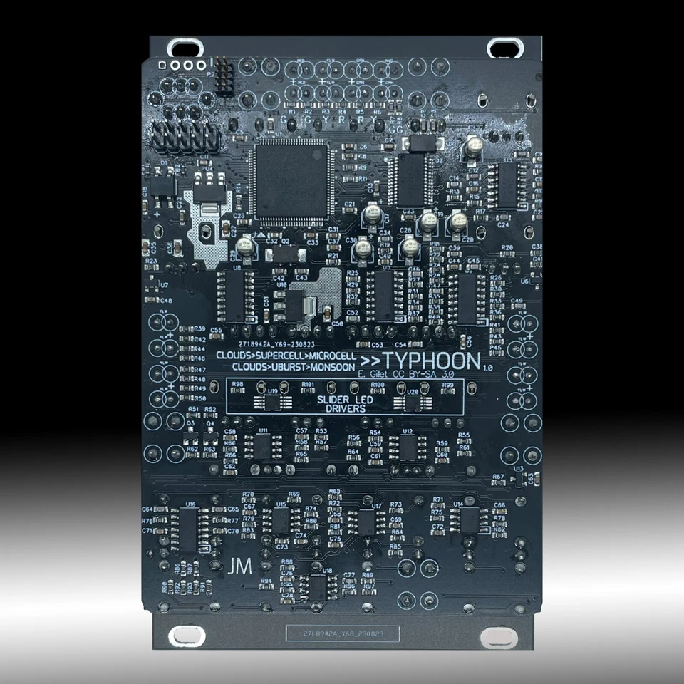 Typhoon / Mutable Instruments Eurorack Module / Clouds Clone / White Panel - Bild 4 von 4