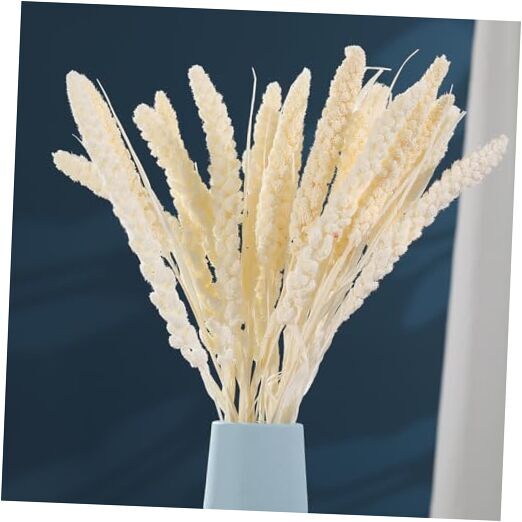 Dried Flowers Bouquet, Dry Flower Bundle, 20Pcs Natural Real Millet Flowers-image