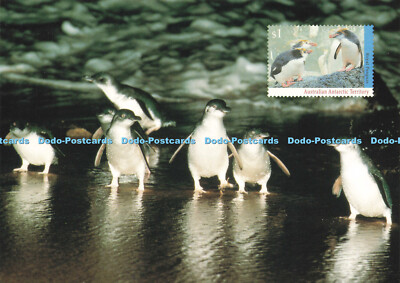 D170038 Victoria. Phillip Island. A. N. T. Fotothek. Otto Rogge
