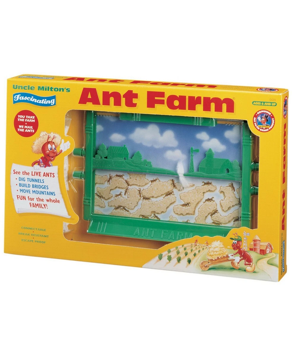 Ant hill toy hotsell