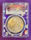 1885 P Morgan $1 Dollar PCGS MS63 Blast White Silver Coin TraderBea Purple 🔥