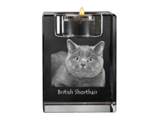 British short Hair - Candle Holder With Katzenfoto, Tea Light From Crystal, Pe