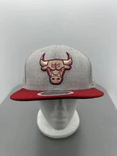 Chicago Bulls Angry Bull Mitchell & Ness Snap Back Hat