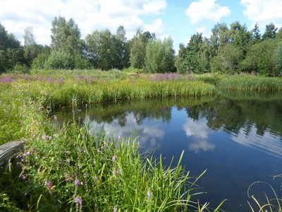 Photo A2 The London Wetland Centre in July Barnes Wildside which, as the c2020