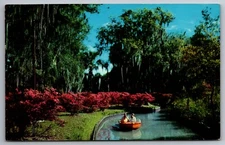 Postcard Azaleas Along Scenic Boat Tour Winter Park Florida I-7
