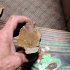 Petrified Wood Fossil Rough Log Section Specimen Chunk Piece Brown Tan — photo 3