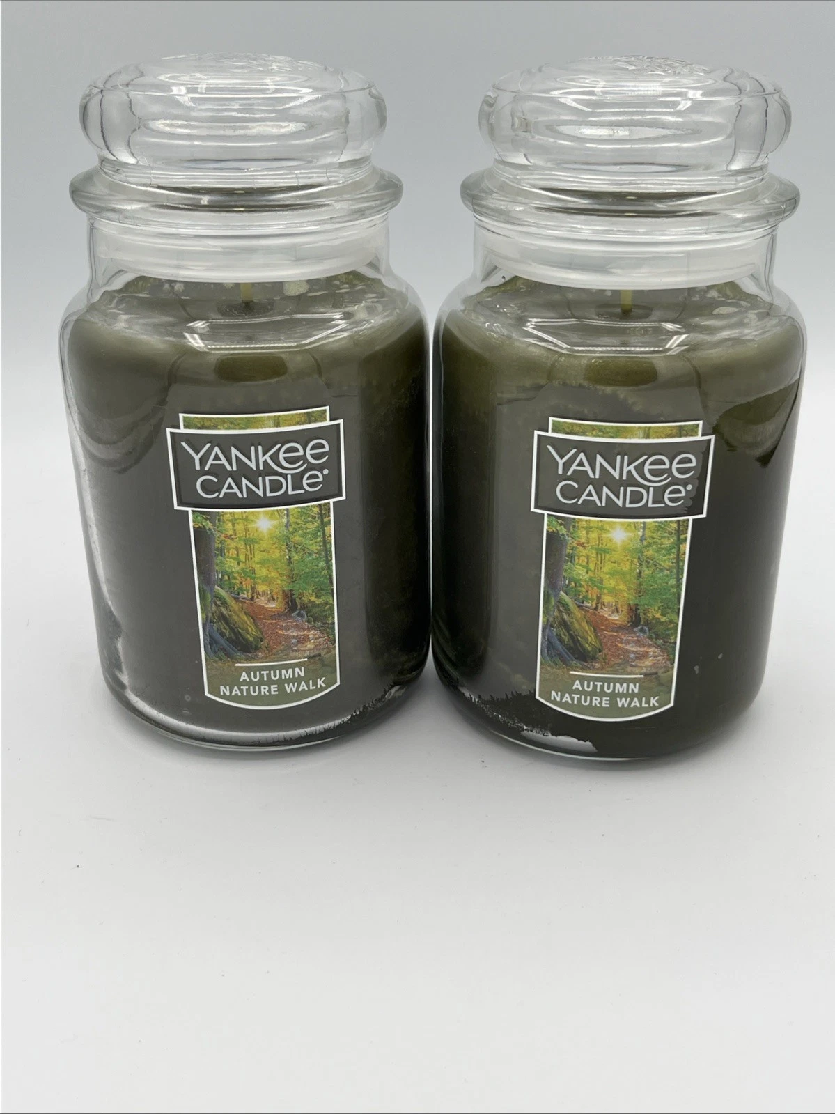 Yankee Candle Autumn Nature Walk Large Jar - Set of 2 - NEW Fall Thanksgiving