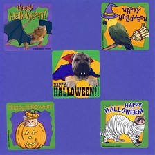 10 Halloween Pets - Large Stickers - Favors - Lizard, Bird, Dog, Cat, Ferret