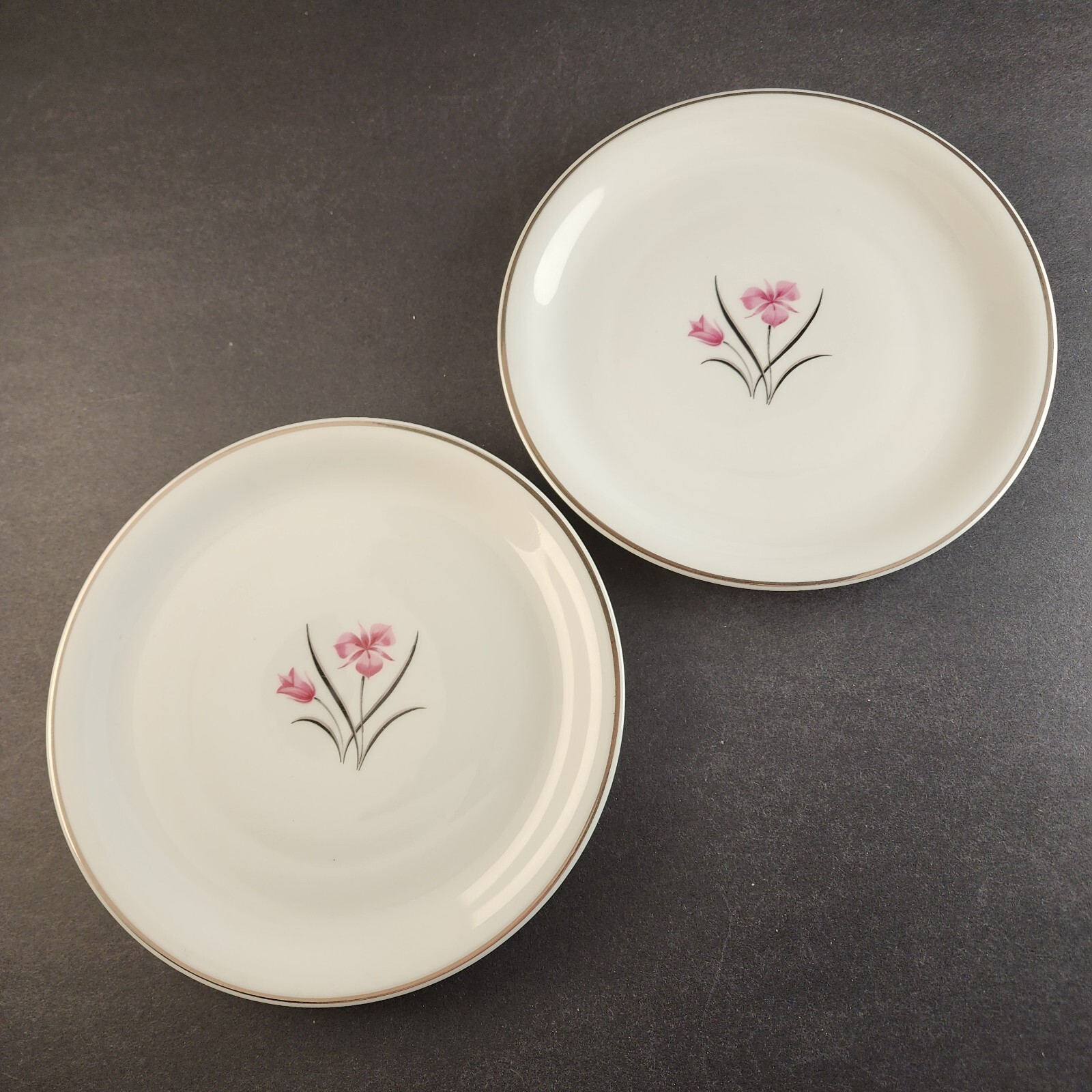 2 Salad Plates Caprice China Pattern by Easterling 8.25