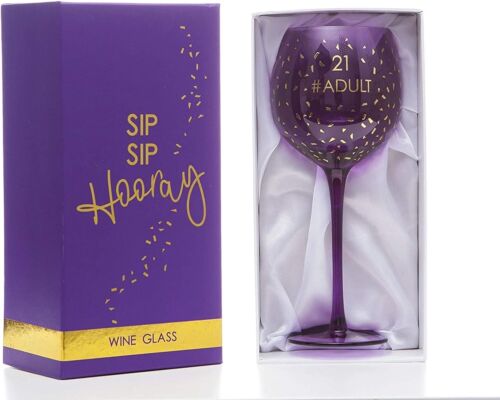 21st Birthday Gifts for Her Wine Glass Novelty Boxed Birthday Ideal Party Girls - Picture 1 of 12