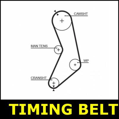 Timing Belt Cam Fits Nissan FIGARO PAO 1.0 MA10ET MA10S FK10 PK10 8825