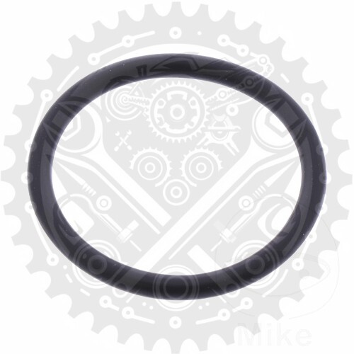 Athena Valve Cover Gasket ORing Fits Beta Alp 200 UK Stocked eBay