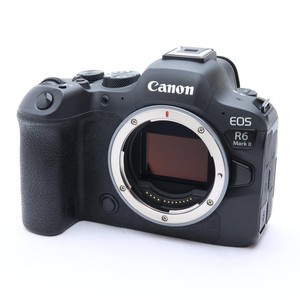 Canon R6 Body | eBay