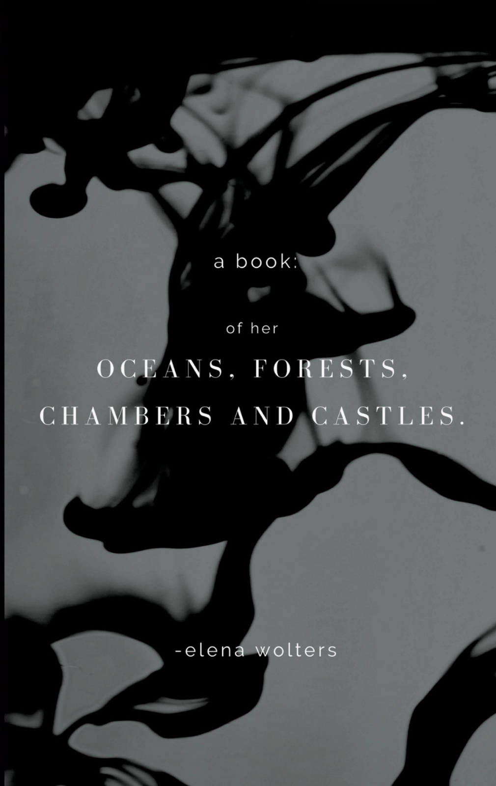 Thumbnail - A Book Of Her Oceans, Forests, Chambers And Castles. (buch)