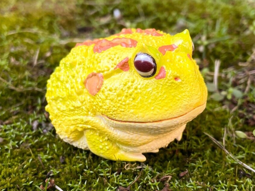 Animal Heavenly Body Cranwelli Horned Frog Yellow Collectible