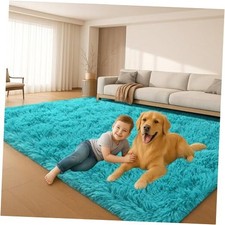Fluffy Plush Shag Rug 5x7, Ultra Soft Rug for Living Room Bedroom, Non-Slip