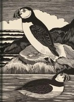 Birds Journal | Eric Fitch Daglish | Englisch | Buch | 2021 | Bodleian Library